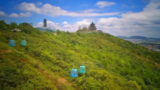 2018071910085109929706.jpg 2018071910085109929706.jpg